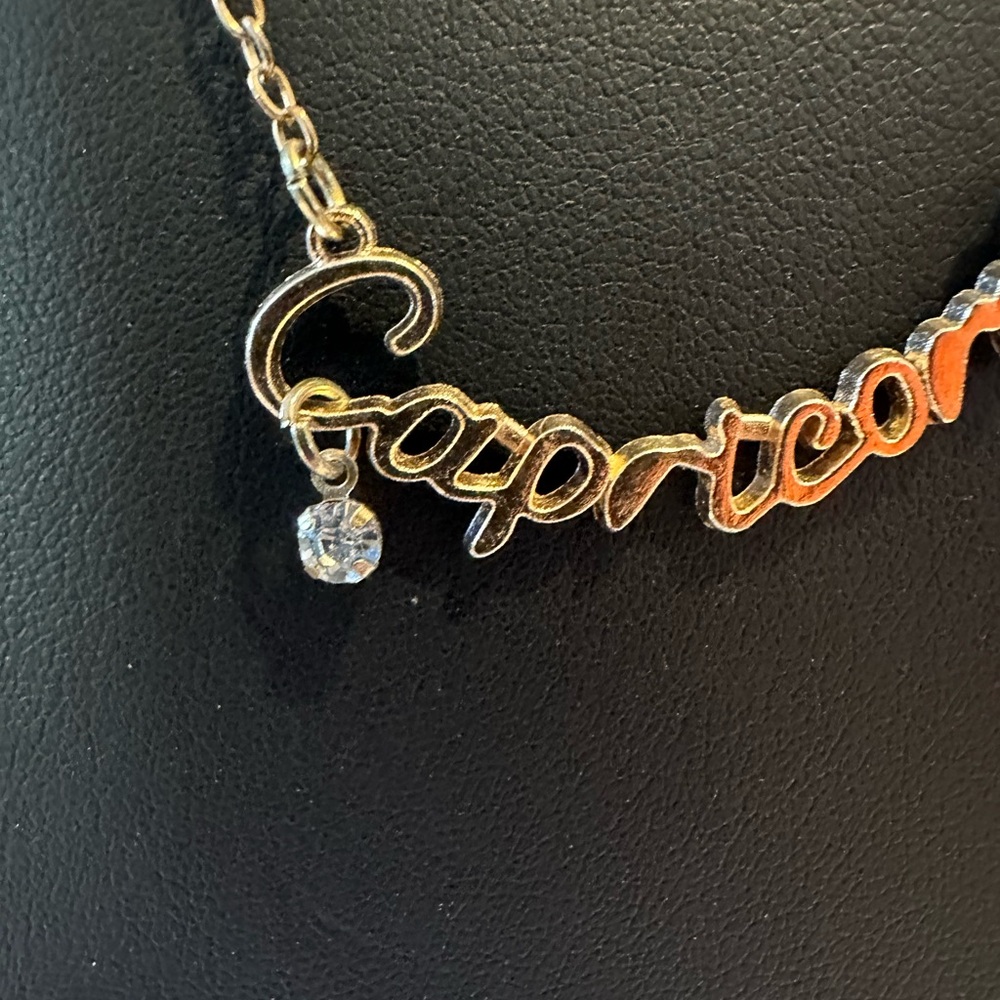 Gold in color Capricorn Necklace - Picture 3 of 3